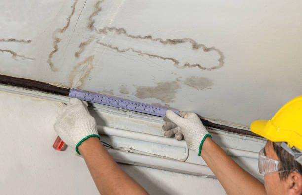 Reliable Basement Water Removal contractor in Verona, NJ by Water Damage Irwin
